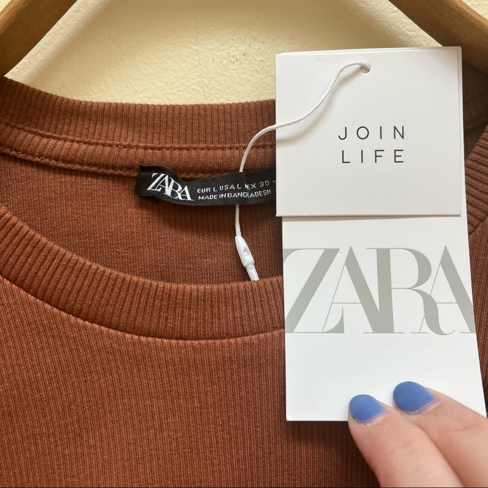 ZARA | Ruched Ribbed Dress - Picture 5 of 6